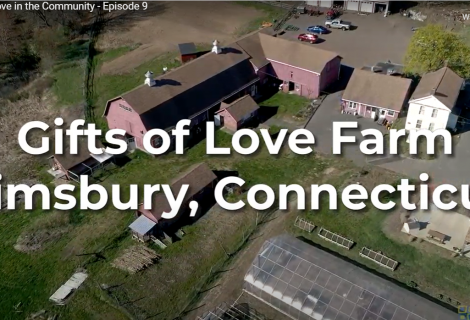 Gifts of Love Farm Featured on Simsbury TV